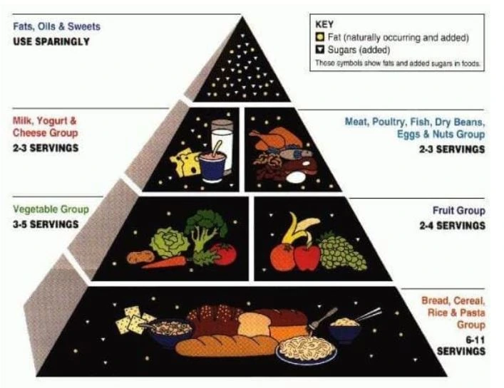 Pirámide nutricional Alimentación y TDAH en la infancia